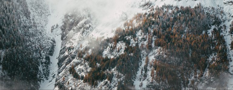 jan kronies vvek8fso9ta unsplash
